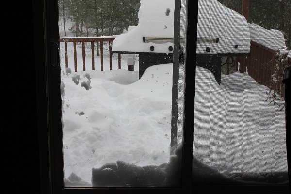 New Camera Dec2010 367